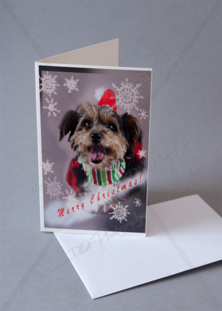 Christmas Greeting Card with a Dog by Nadine Platt 1